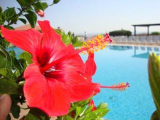 Casarossa Hotel Residence & Beauty Crotone Exteriör bild